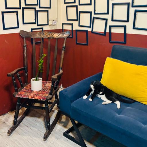 عکس کافه گالری واراک