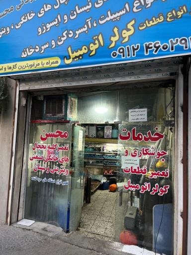 عکس برودتی محسن