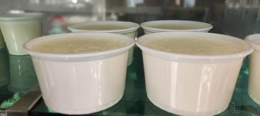 عکس لبنیات سنتی رهگذر 