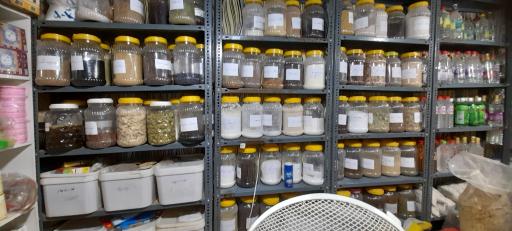 عکس عطاری گندم (رضایی)