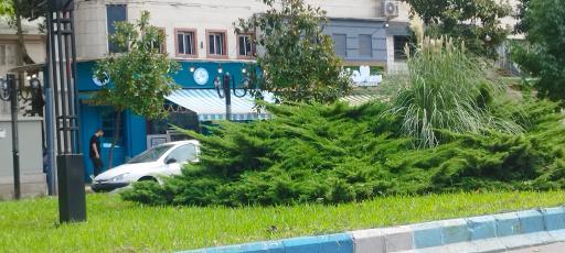 عکس چلو شیش