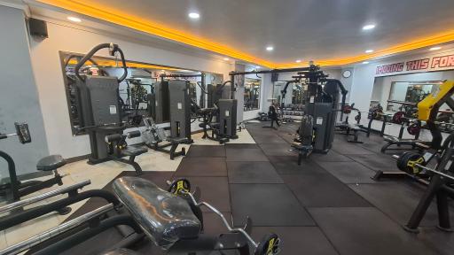 عکس باشگاه بدنسازی مولوی