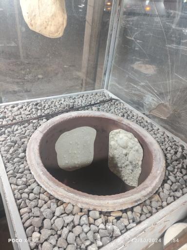 عکس کبابی عیسی علیزاده 