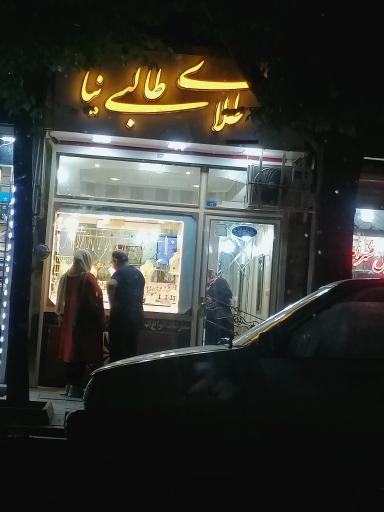 عکس طلای طالبی نیا