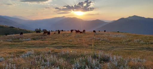 عکس منطقه ییلاقی سلانسر