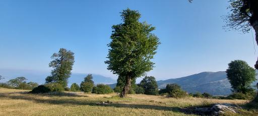 عکس منطقه ییلاقی سلانسر