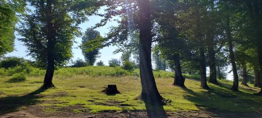 عکس منطقه ییلاقی سلانسر