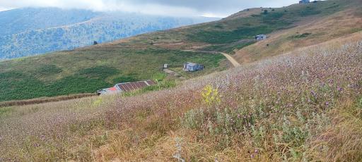 عکس منطقه ییلاقی سلانسر