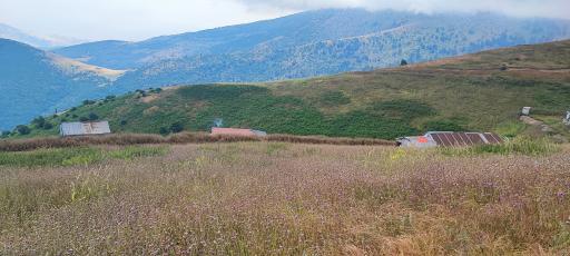 عکس منطقه ییلاقی سلانسر