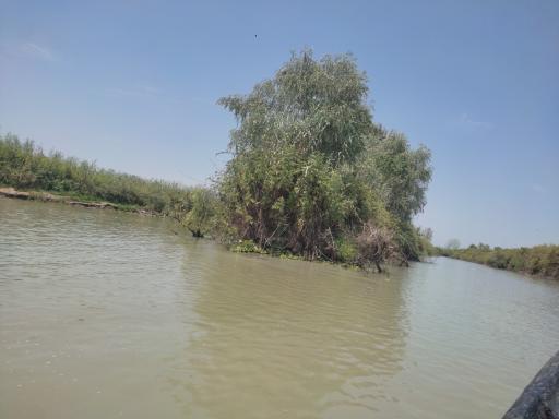 عکس تالاب گل لاله