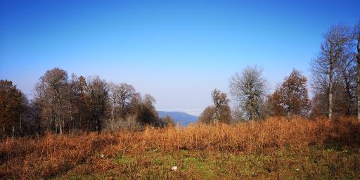 عکس منطقه ییلاقی سلانسر