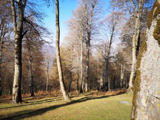 عکس منطقه ییلاقی سلانسر