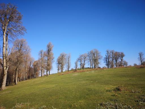 عکس منطقه ییلاقی سلانسر