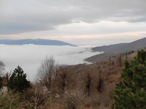 عکس منطقه ییلاقی سلانسر