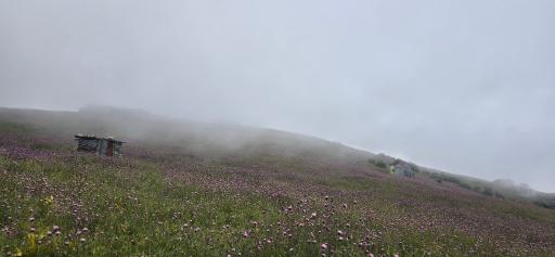 عکس منطقه ییلاقی سلانسر