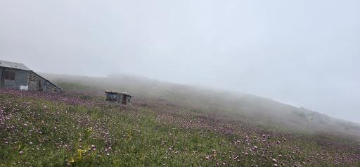 عکس منطقه ییلاقی سلانسر