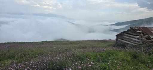 عکس منطقه ییلاقی سلانسر