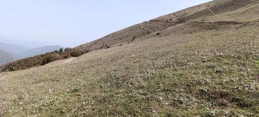 عکس منطقه ییلاقی سلانسر