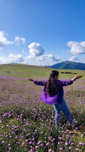 عکس منطقه ییلاقی سلانسر