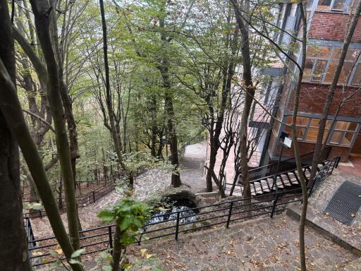 عکس بام رامسر