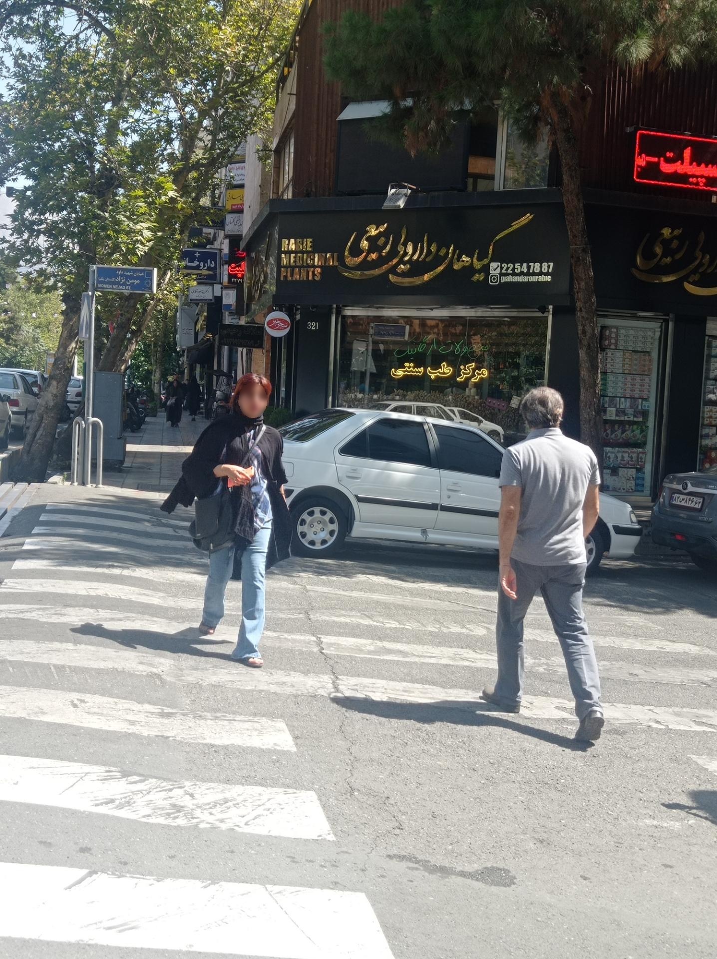 عکس گیاهان دارویی ربیعی