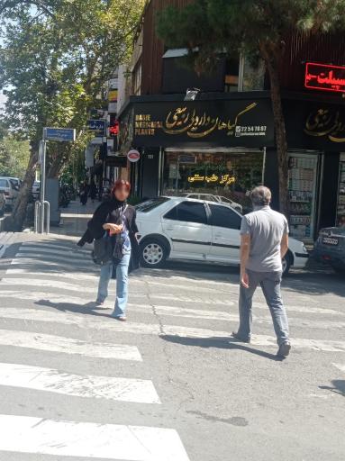 عکس گیاهان دارویی ربیعی