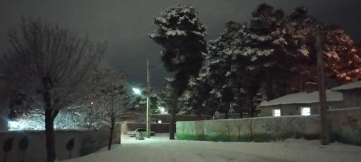 عکس کوی سازمانی شهید سروران