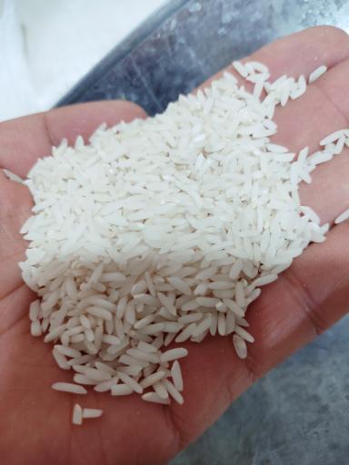 برنج محلی مرادی