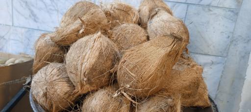 عکس میوه فروشی