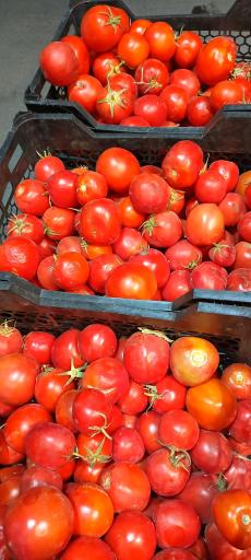 عکس میوه فروشی