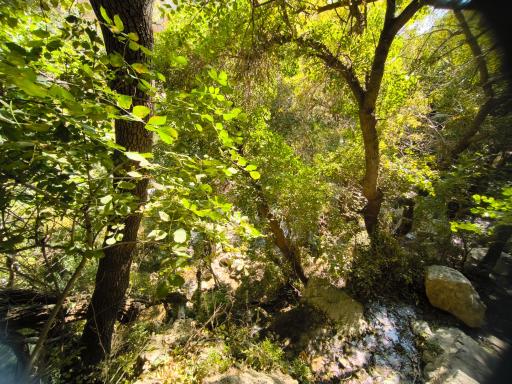 عکس تفرجگاه تنگه براق