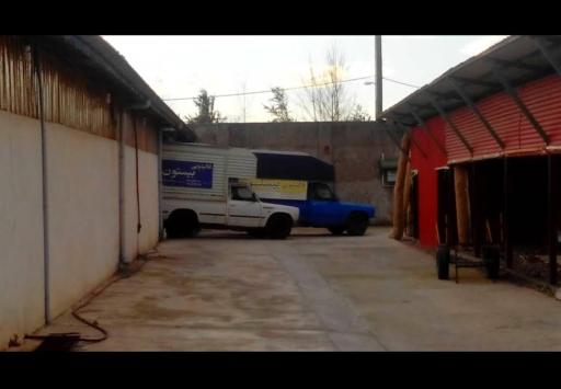 عکس قالیشویی و مبل شویی بیستون رشت