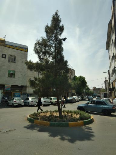 عکس میدان نارون