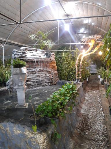 عکس گلخانه آیریس شعبه مرکزی