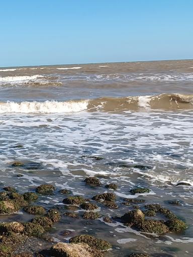 عکس پارک ساحلی چابکسر