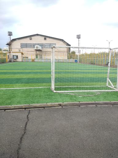 عکس چمن مصنوعی 