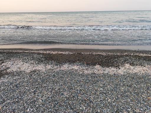 عکس پارک ساحلی چابکسر