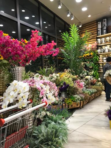 عکس خانه و آشپزخانه فرزاد