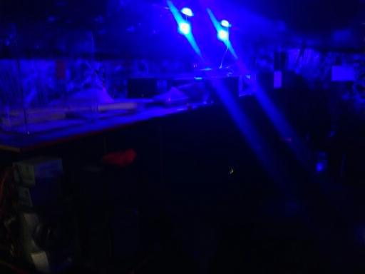 عکس گیم نت بازی نت