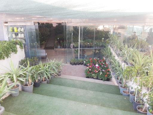 عکس گلخانه آیریس شعبه مرکزی