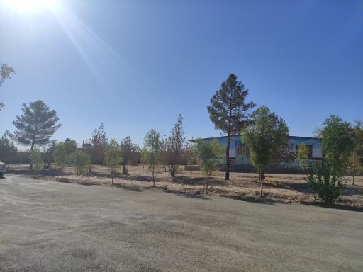 عکس دبیرستان شبانه روزی شهید محمدی آبیز 