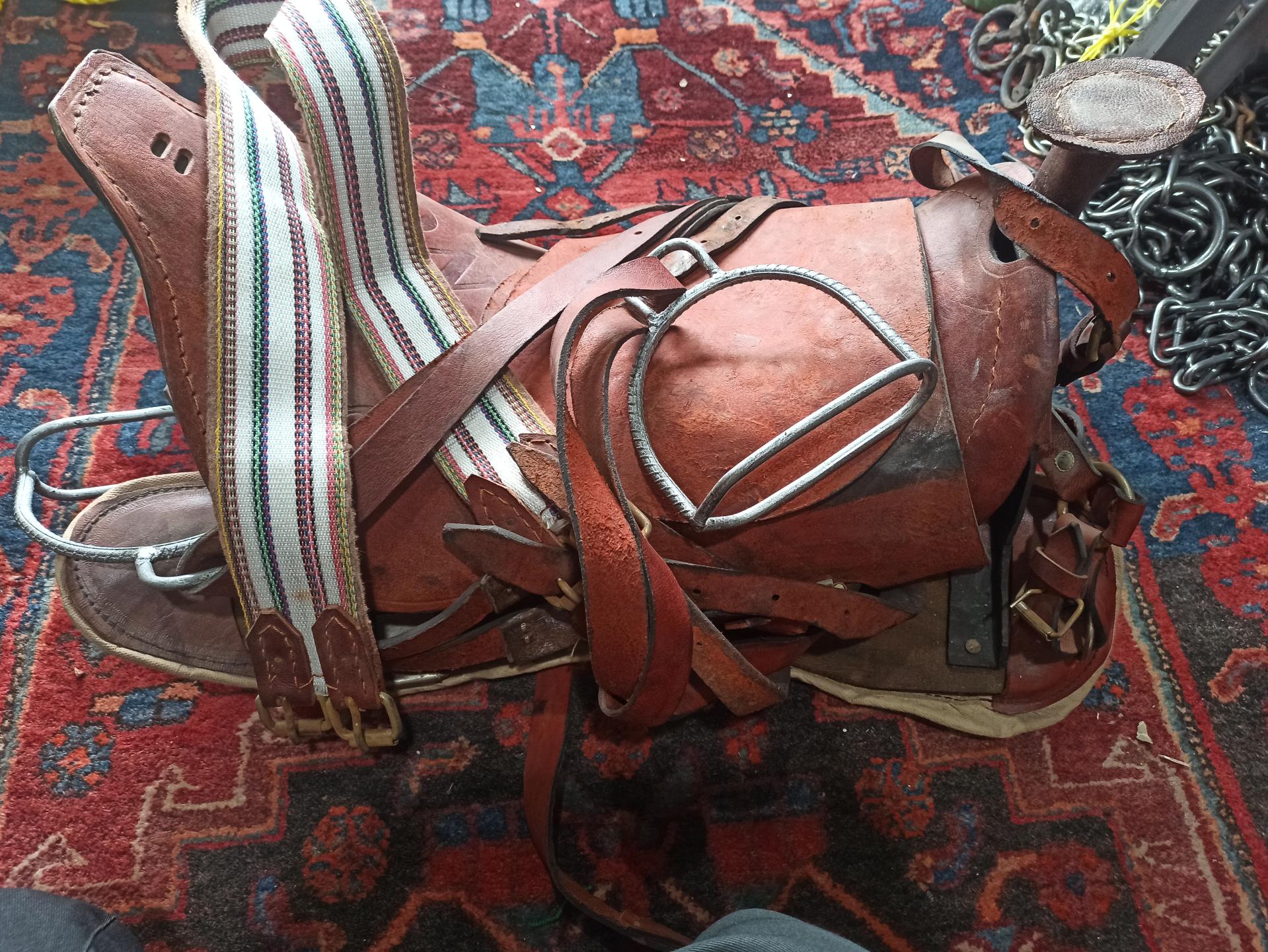 عکس وسایل اسب و سوار کاری حاج کریم رسولی