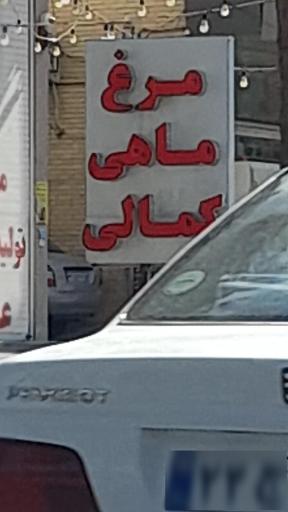 عکس مرغ و ماهی کمالی تفت