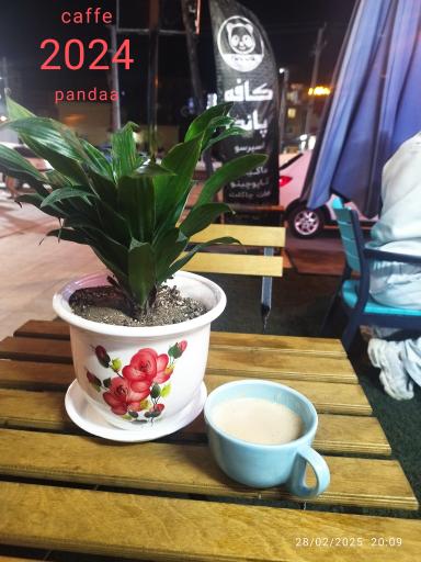 کافه صبحانه خوری پاندا 