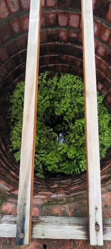 عکس خانه موزه میرزا کوچک جنگلی