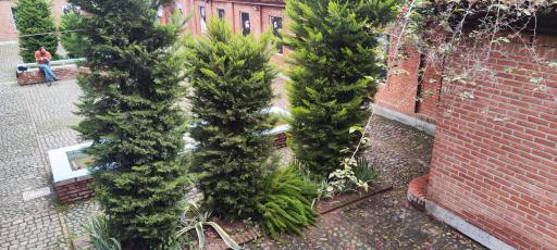 عکس خانه موزه میرزا کوچک جنگلی