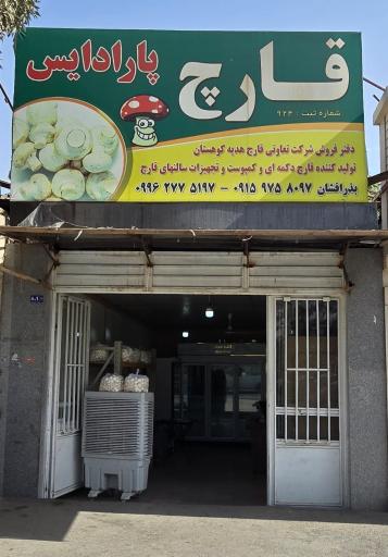 عکس دفتر توزیع قارچ پارادایس