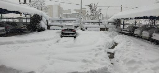 عکس هتل نوروز