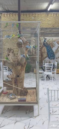 عکس باغ رستوران عمو مرشد