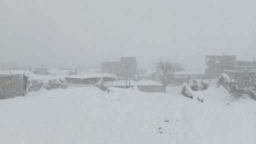 عکس روان